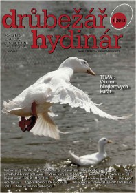 Číslo 1/2013